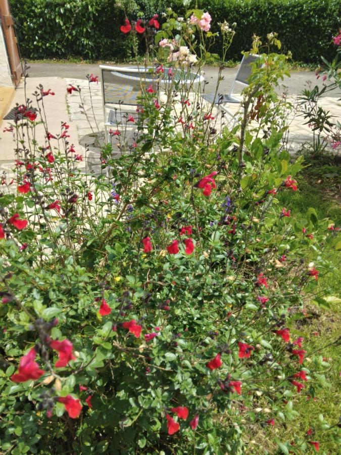 Seyresse Petit Coin De Detente מראה חיצוני תמונה